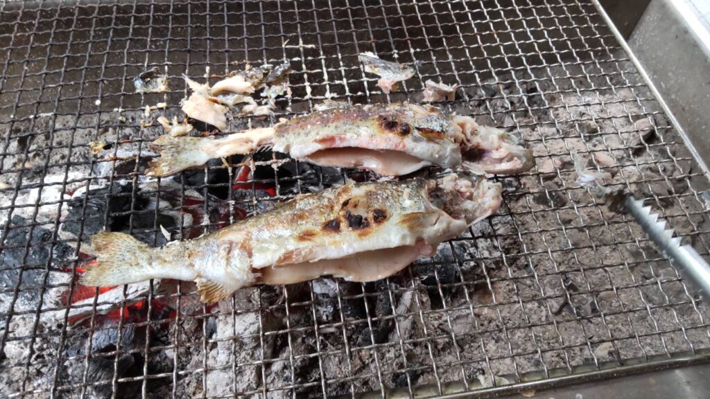 Photograph of grilled rainbow trout in Chogen no Sato Village