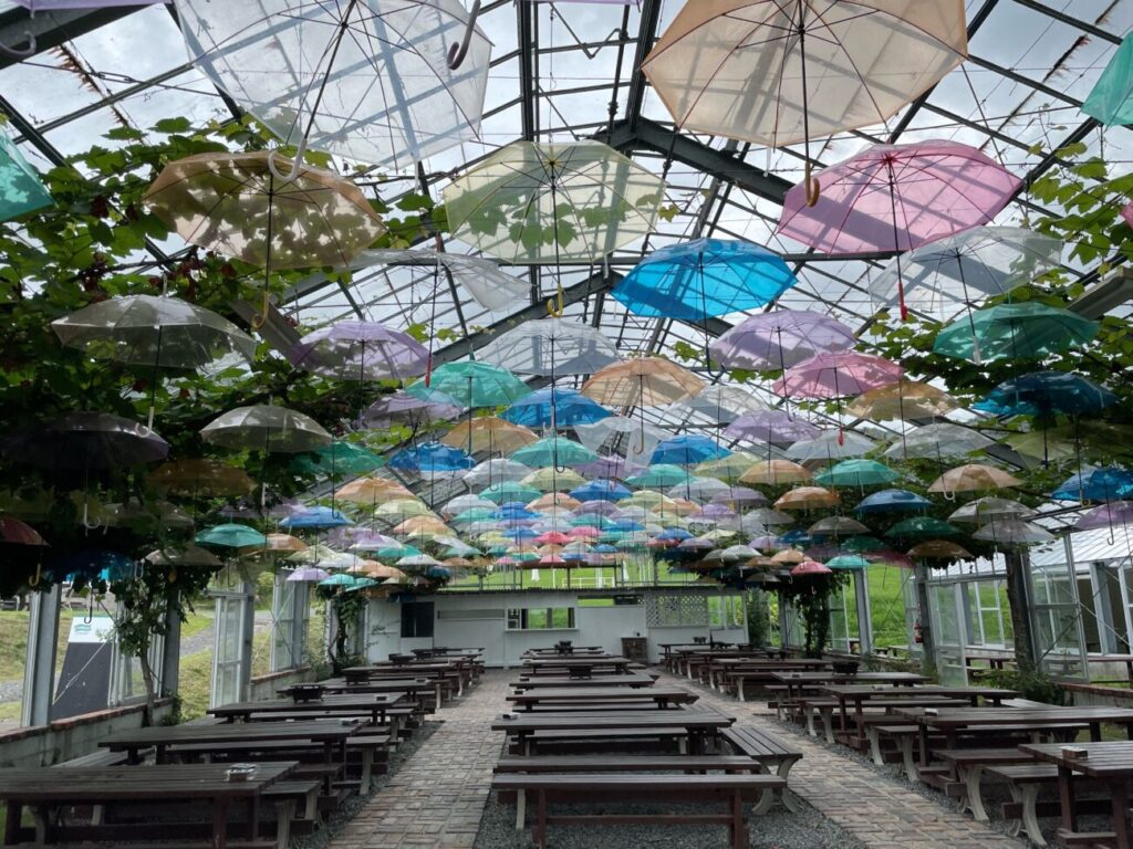 船方農場の傘が飾られたガラスハウス