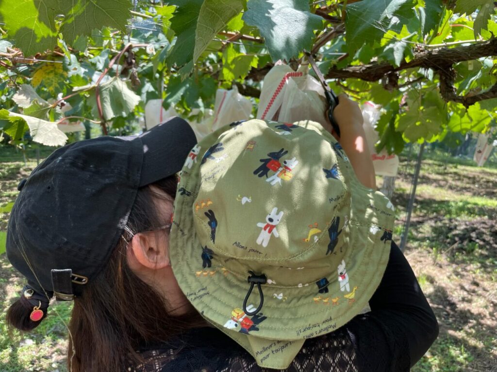 福田フルーツパークでブドウ狩りをする子供とお母さん