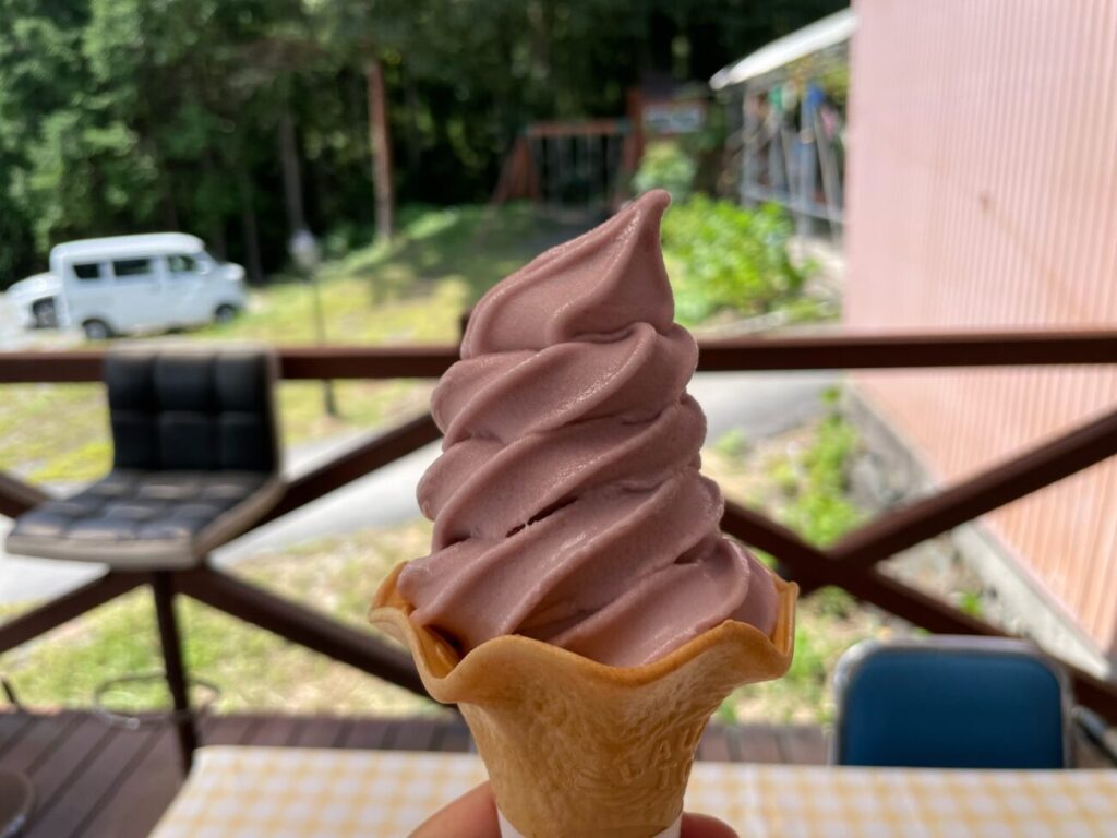 福田フルーツパークの巨峰ソフトクリーム