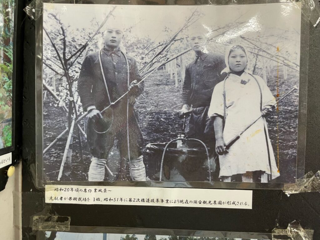 須金フルーツランドの昔の写真