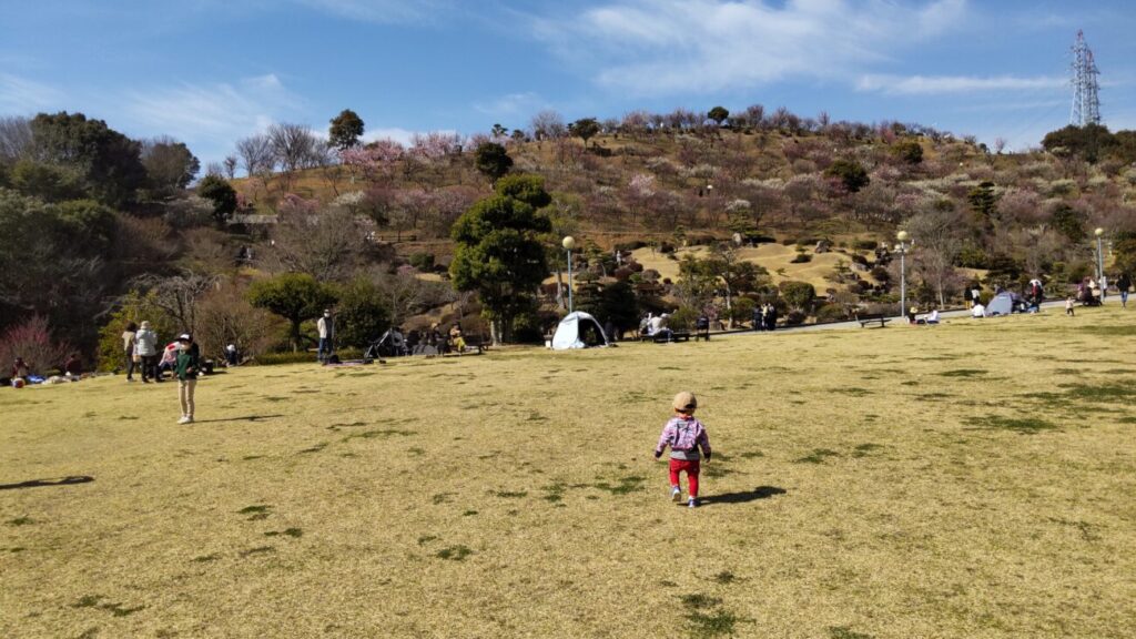 Children's Forest in Kanmuriyama park in Hikari city in Yamaguchi prefecture in Japan