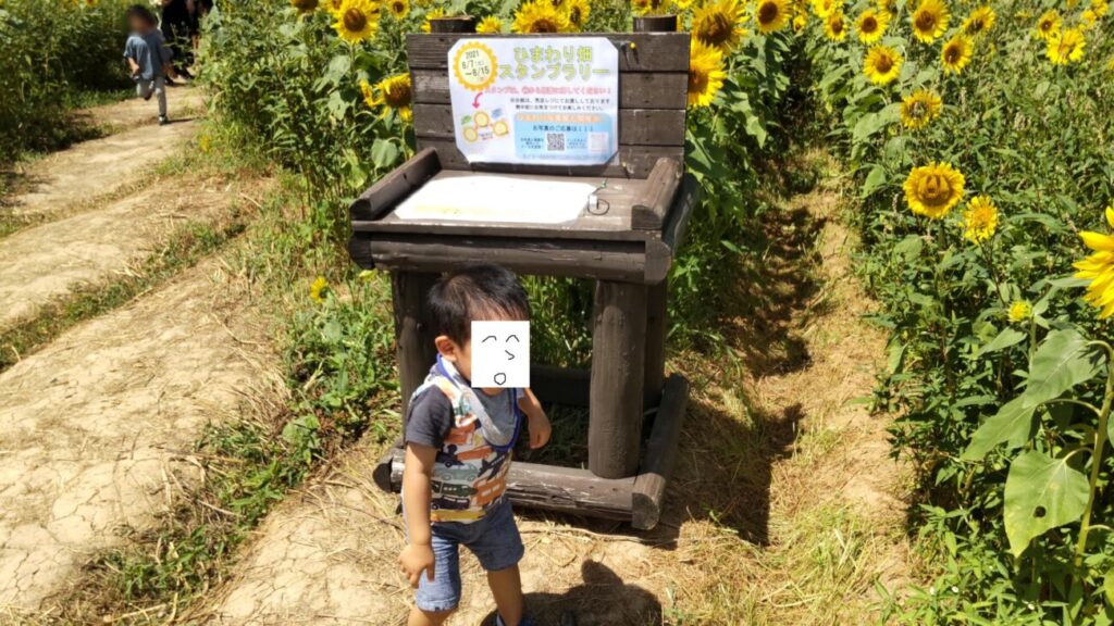 Sunflower Stamp Rally in the Sea of Flowers