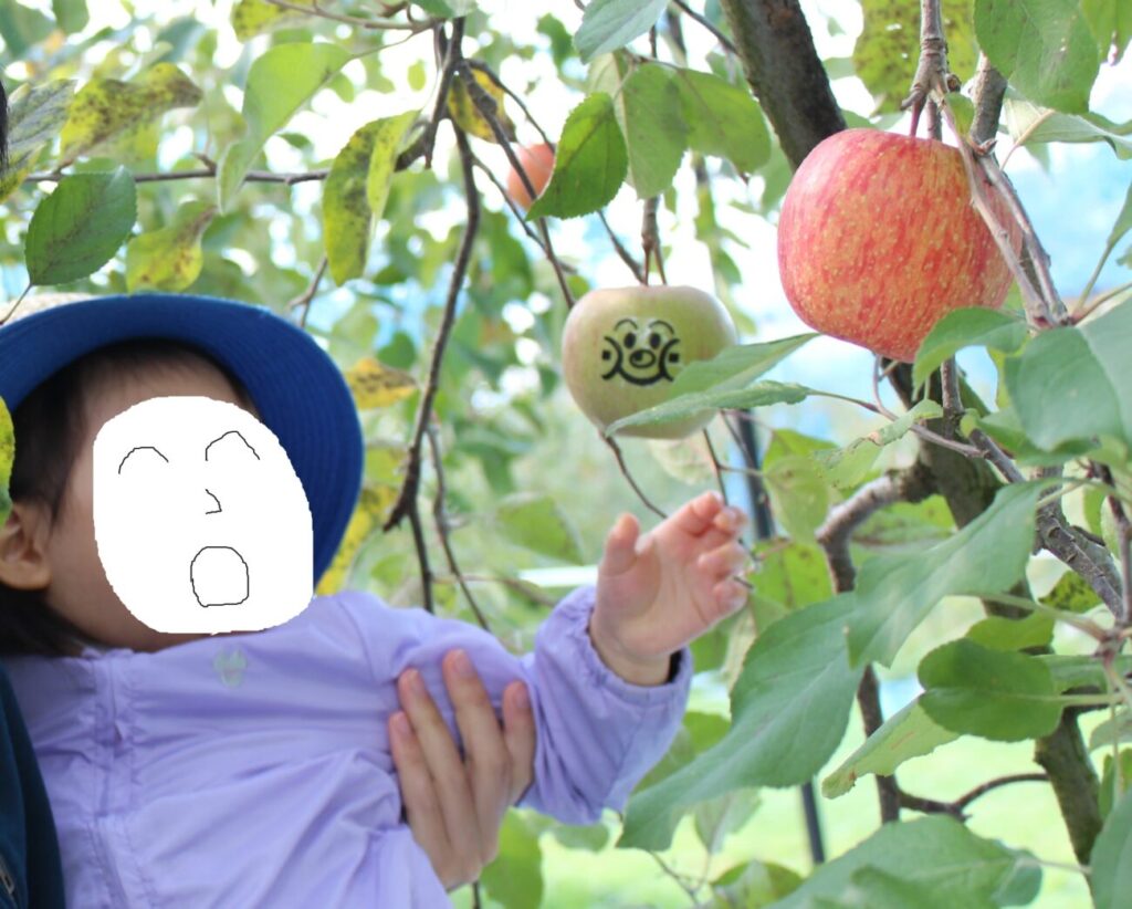 徳佐りんご園でアンパンマンのシールが貼られたリンゴをみつけた子供