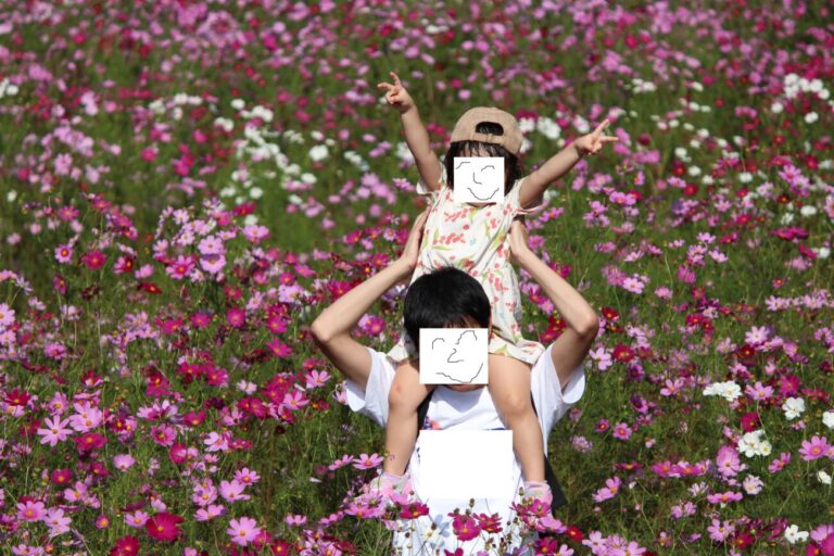 a father and child in cosmos field in Toyoura refresh park