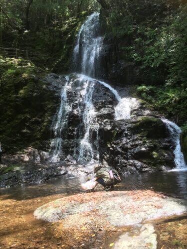 【Akiyoshi Shiraito Waterfall】 Let’s cool off at a waterfall with a height of 30m! 【Mine City, Yamaguchi Prefecture】