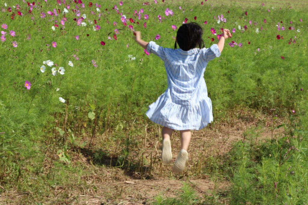 花の海のコスモス畑で跳ねる子供