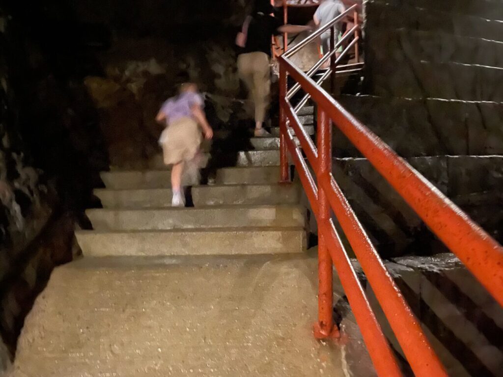 地底王国美川ムーバレーの中の急な階段