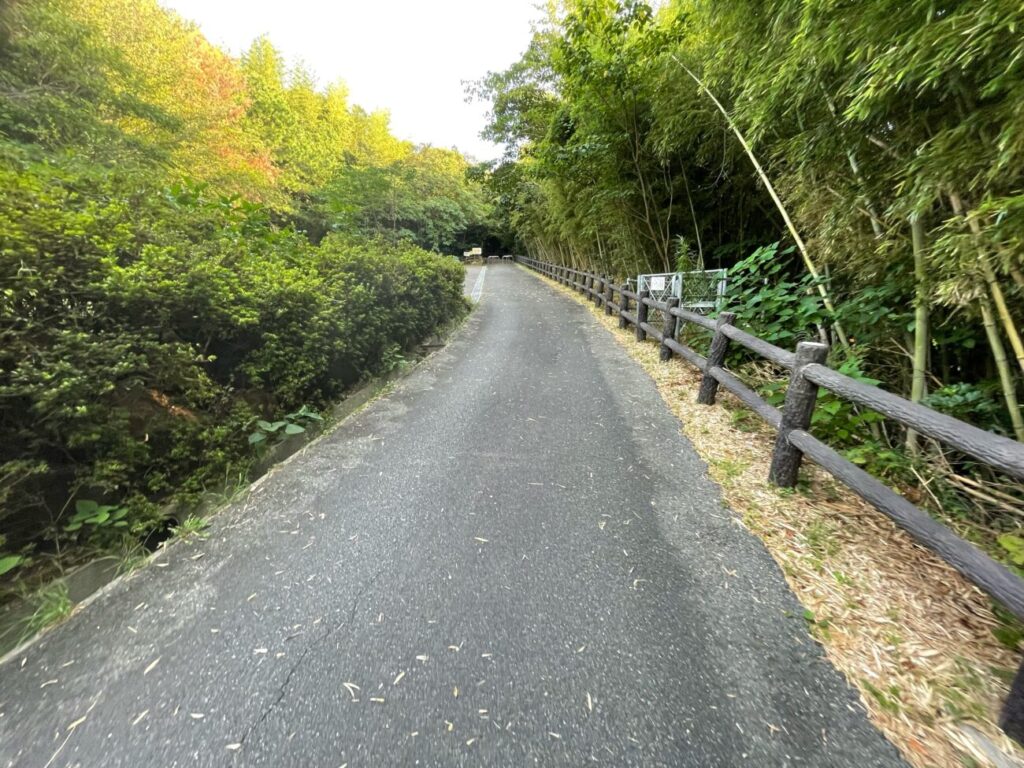 藤尾山公園の長いローラー滑り台がある展望台への登山道