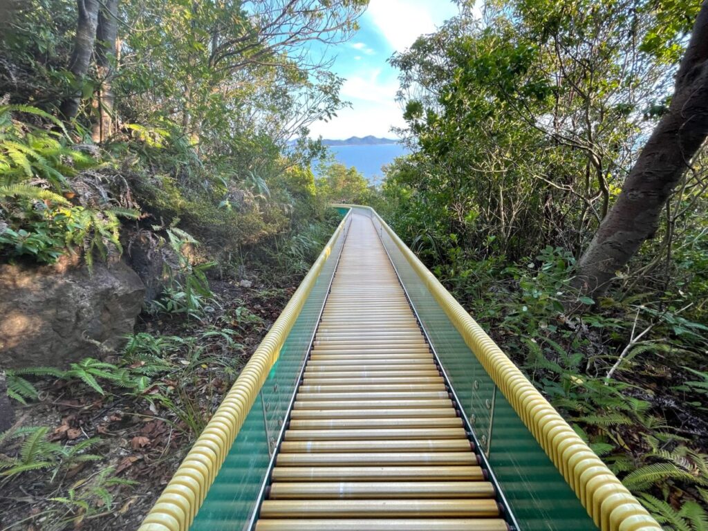 藤尾山公園の長いローラー滑り台