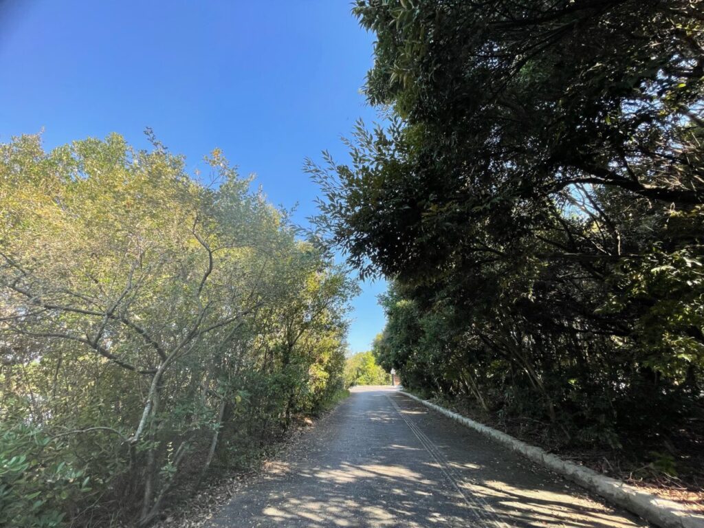 きららはま自然観察公園の遊歩道