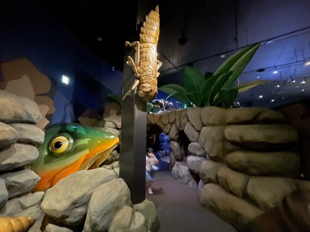 豊田ホタルの里ミュージアムの巨大虫模型（魚と昆虫）