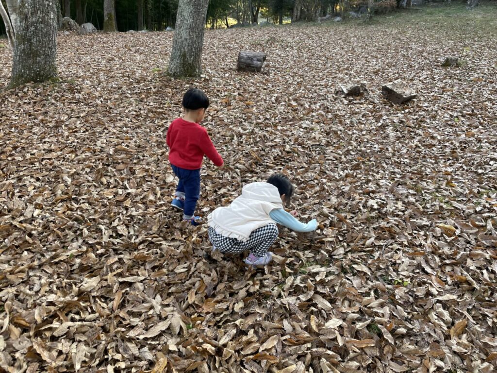 秋吉台家族旅行村で落ち葉を集める子供