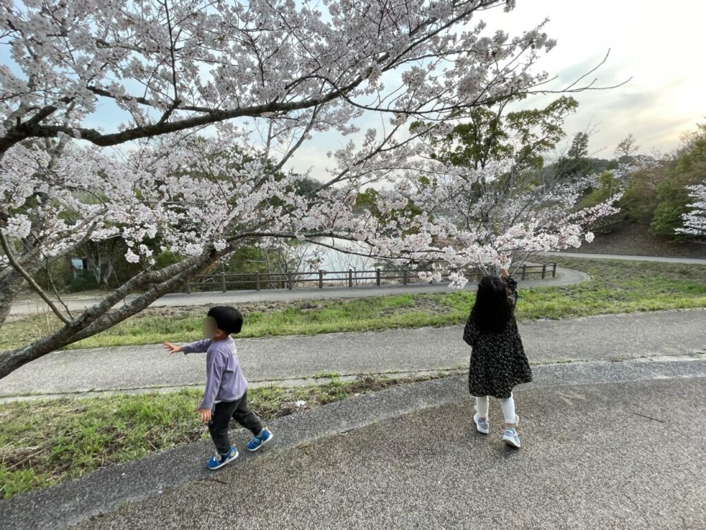 江汐公園の満開の桜