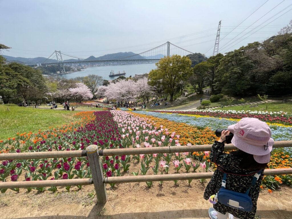 火の山公園トルコチューリップ園のチューリップと桜と関門橋と関門海峡を撮る娘