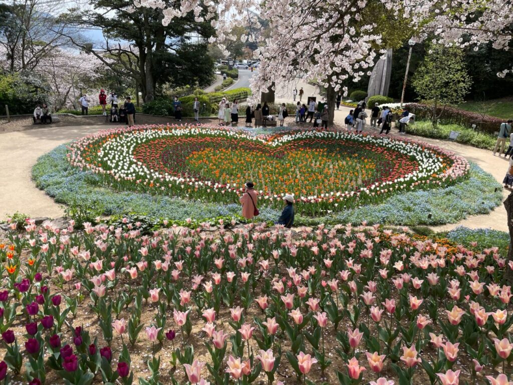 火の山公園トルコチューリップ園のチューリップと桜とハートの花壇