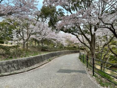 【江汐（えじお）公園】桜を見ながら花見散策をしよう【山口県山陽小野田市】