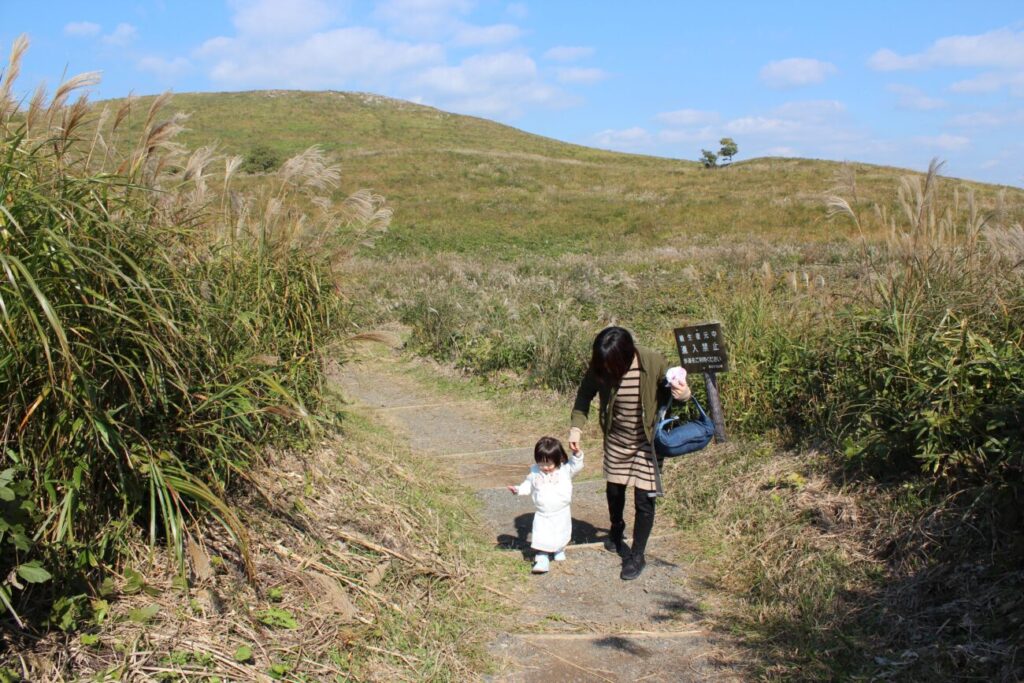 秋吉台のススキ畑で散歩する親子