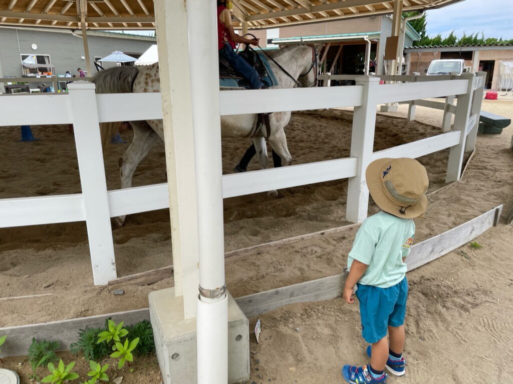 島根県益田市のさんさん牧場で乗馬体験をみる子供